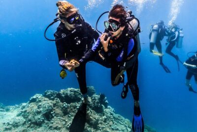 Discover Scuba Diving in Tulamben - Diving Initiation in Bali best diving sites - Coral Garden: Why This “Aquarium” Stop Is Perfect for Beginners