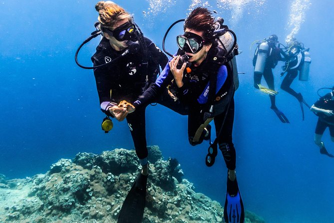 Discover Scuba Diving in Tulamben - Diving Initiation in Bali best diving sites - Coral Garden: Why This “Aquarium” Stop Is Perfect for Beginners