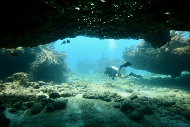 Discover Scuba Diving in Tulum - First-Trip Scuba in Tulum: Built for Beginners, Not Test-Takers