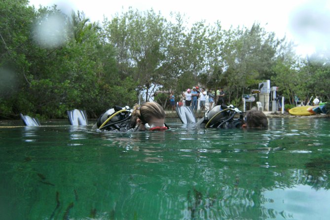 Discover Scuba Diving in Tulum - Gear Setup and Skill Practice: Where Comfort Gets Built