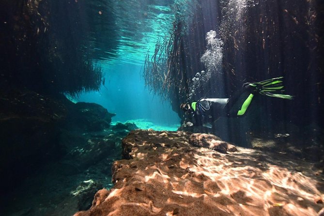 Discover Scuba Diving in Tulum - Group Pace, Comfort, and the 5-Hour Rhythm