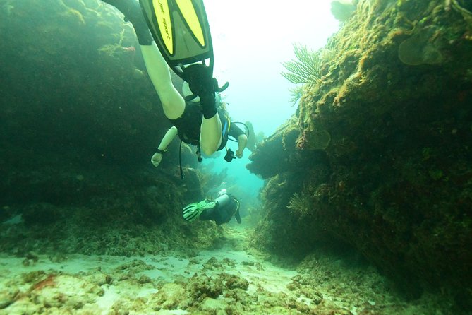 Discover Scuba Diving in Tulum - Guides and Teaching Style: The Real Secret Sauce for First-Timers