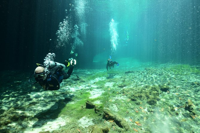 Discover Scuba Diving in Tulum - Agua Clara Diving Check-In: Getting Organized Before You Hit the Water