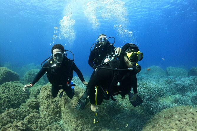 Discover Scuba diving in Villasimius - The marine protected area: Capo Carbonara and why the sites matter