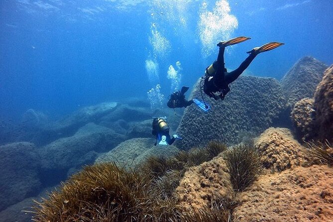 Discover Scuba diving in Villasimius - What you can actually see: plants, small fish, and the bigger characters