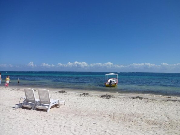 Discover Scuba Diving - One Tank at Coral Reef - Key Things That Matter Before You Go
