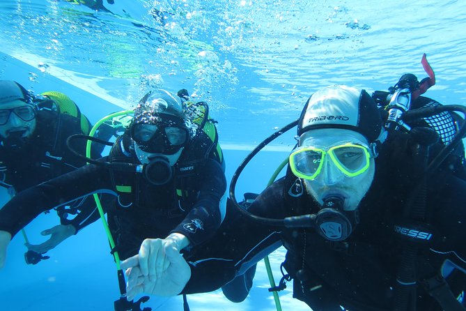 Discover Scuba Diving or Try dive - Madeira first-timer scuba: where this starts and what to expect