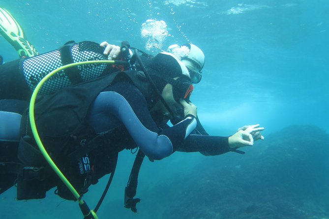 Discover Scuba Diving or Try dive - Gear and equipment: what’s included and how to prepare