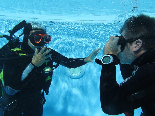 Discover Scuba Diving or Try dive - The marine life part: what you should aim to notice
