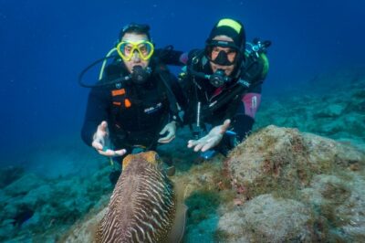 Discover Scuba Diving, Playa de las Americas - Aqua-Marina Meet Point and Your Gear Fit at the Center