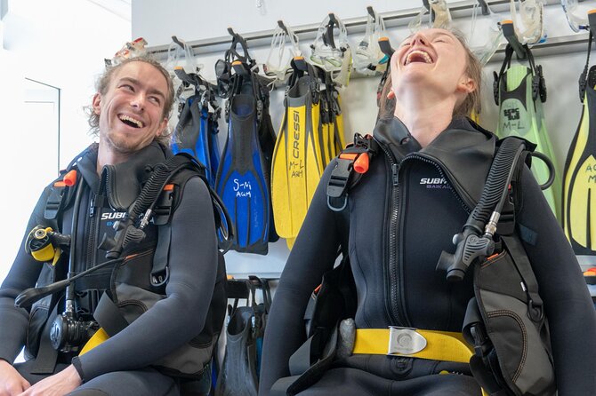 Discover Scuba Diving, Playa de las Americas - What You’ll See: Breakwater Marine Life and Volcanic Rock Formations
