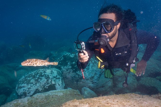 Discover Scuba Diving, Playa de las Americas - Should You Book This Intro Scuba Experience in Playa de las Américas?