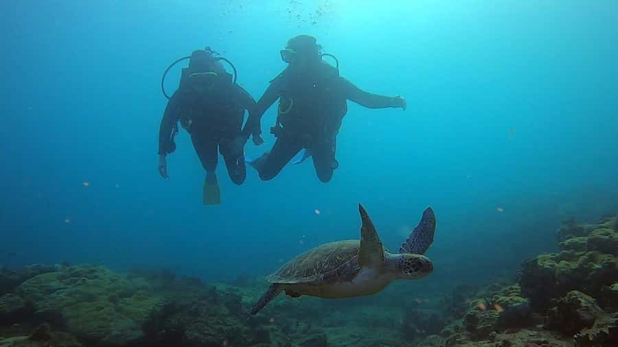Discover Scuba Diving Program for Beginners - Key highlights I’d plan around