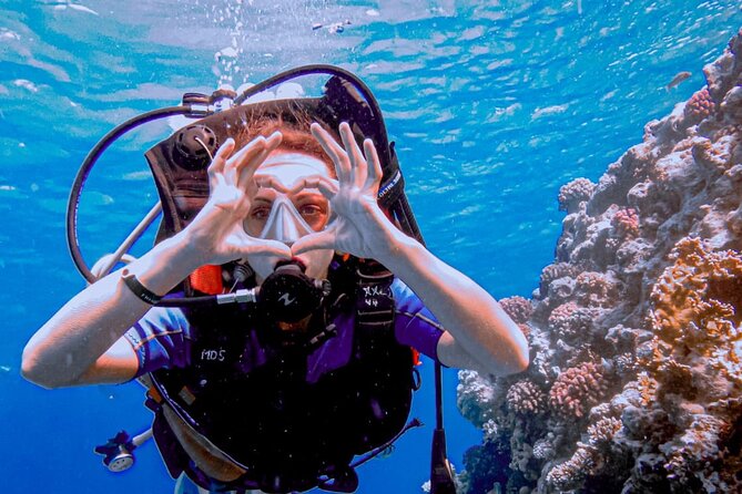 Discover Scuba Diving Sharm El Sheikh - Lunch, Drinks, and Timing: 7 Hours That Don’t Drag