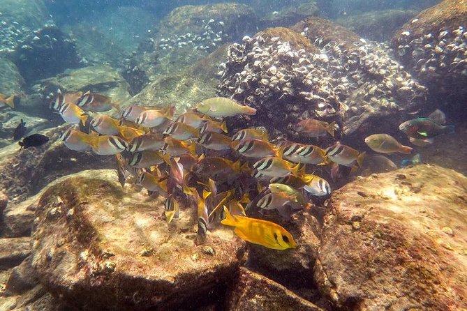 Discover Scuba Diving, try dive for beginners ( Start at Ko Kut) - Meeting at BB Divers Koh Kood: Why the Start Point Matters