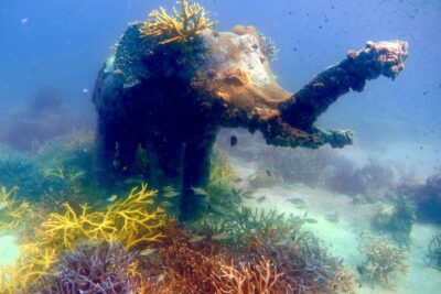 Discover Scuba Diving, try dive for beginners ( Start at Ko Kut) - Price and What You Get for $179.24