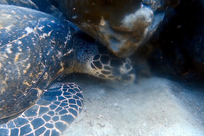 Discover Scuba Diving, try dive for beginners ( Start at Ko Kut) - Included Lunch and Drinks: A Small Detail That Changes the Day