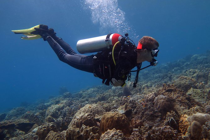Discover Scuba diving, try diving for beginners (starts from Koh Chang) - Key things that make this trial day work