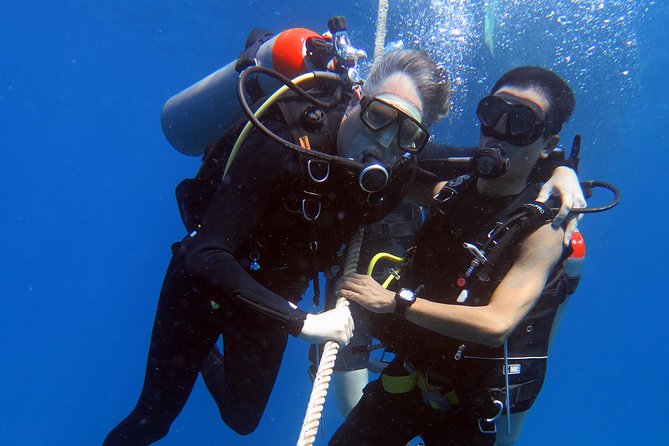 Discover Scuba diving, try diving for beginners (starts from Koh Chang) - Who this fits best (and who should double-check first)