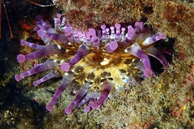 Discover Scuba Diving - Try it for the first time! - Timing, weather, and why your day might run a little differently