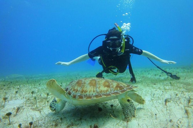 Discover Scuba Diving with No Certification in St Thomas - Where you meet and what the first hour feels like