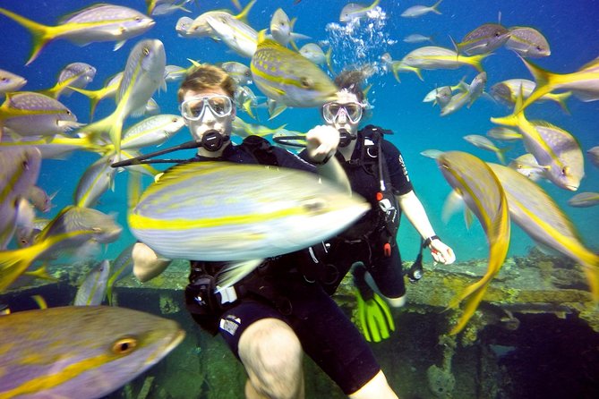 Discover Scuba Diving with No Certification in St Thomas - Your first open-water session: what actually happens