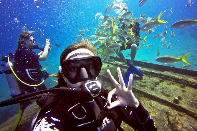 Discover Scuba Diving with No Certification in St Thomas - The St. Thomas water spots you might visit