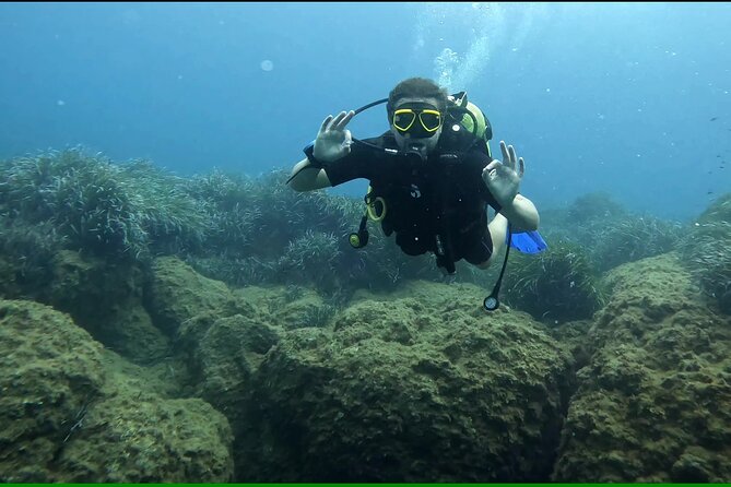 Discover SCUBA Diving with Pissouri Bay Divers - A First-Time SCUBA Experience That Doesn’t Leave You Guessing