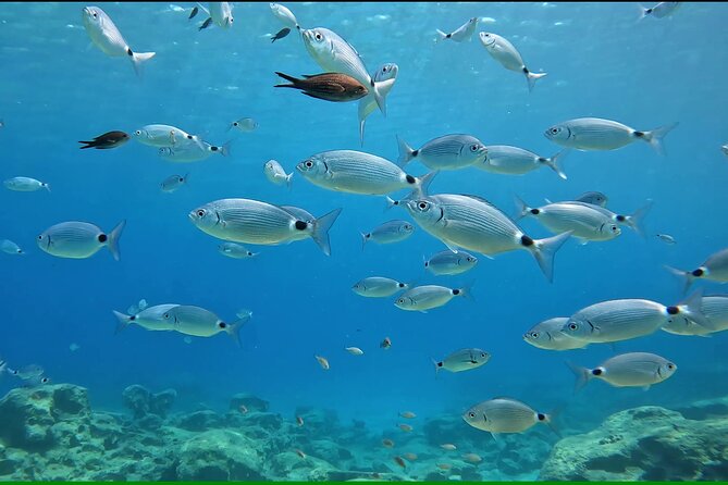 Discover SCUBA Diving with Pissouri Bay Divers - Gear Setup With Tara and Joe: Where Confidence Starts
