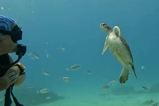 Discover SCUBA Diving with Pissouri Bay Divers - The Sea Part: Getting Out in One Vehicle and Staying on Time