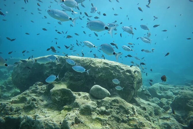 Discover SCUBA Diving with Pissouri Bay Divers - Price and Value: What $145.18 Buys You in Real Terms