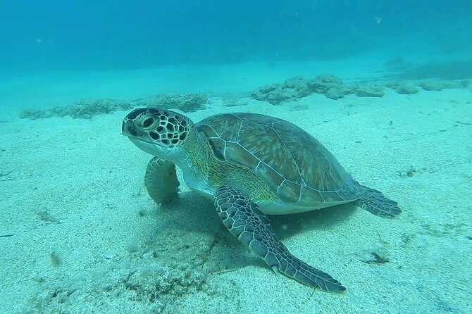 Discover SCUBA Diving with Pissouri Bay Divers - What Happens Before You Ever Step Into the Water