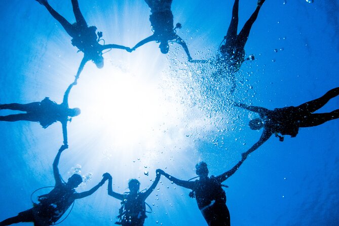 Discover Scuba Diving With Sea Turtles – Xiaoliuqiu, Taiwan - Xiao Liu Qiu: what happens on your underwater stop