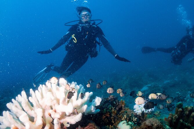 Discover Scuba Diving With Sea Turtles – Xiaoliuqiu, Taiwan - What to bring (and what to skip) for a smooth first session