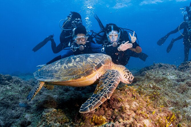 Discover Scuba Diving With Sea Turtles – Xiaoliuqiu, Taiwan - Health checks that matter before you go underwater