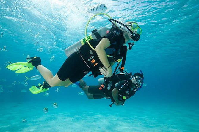 Discover Scuba Diving with two dives in the Ocean in Tenerife with Transfers - Key Highlights to Know Before You Go