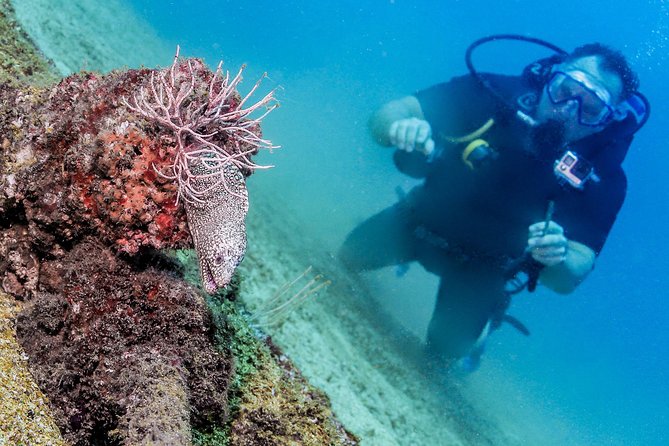 Discover Scuba experience at Las Caletas, Puerto Vallarta - Price and value: what $189 really buys you