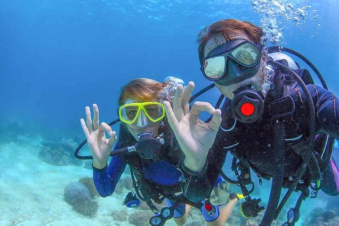 Discover Scuba experience at Las Caletas, Puerto Vallarta - Your intro timeline at Las Caletas (and what each segment feels like)