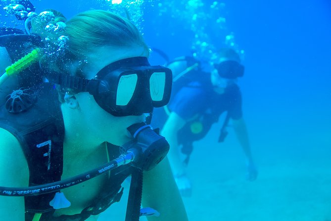 Discover Scuba experience at Las Caletas, Puerto Vallarta - Instructors and gear: how this stays beginner-friendly