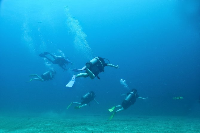Discover Scuba experience at Las Caletas, Puerto Vallarta - Timing, group size, and how not to waste your energy