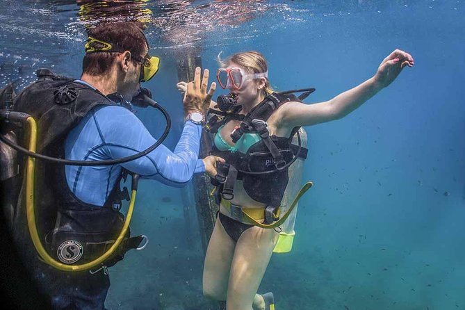 Discover Scuba experience at Las Caletas, Puerto Vallarta - Getting there: the 8:00 am start and the boat transfer