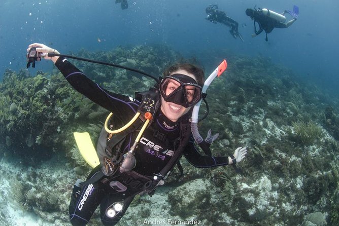 Discover scuba ,MUSA and Manchones reef dive without license - First thing you’ll notice: the training is built to calm you down