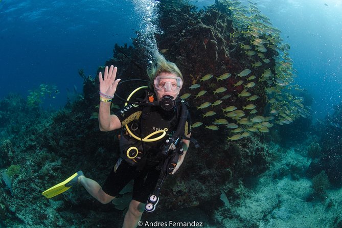 Discover scuba ,MUSA and Manchones reef dive without license - Pool session basics: where you learn to breathe and control yourself
