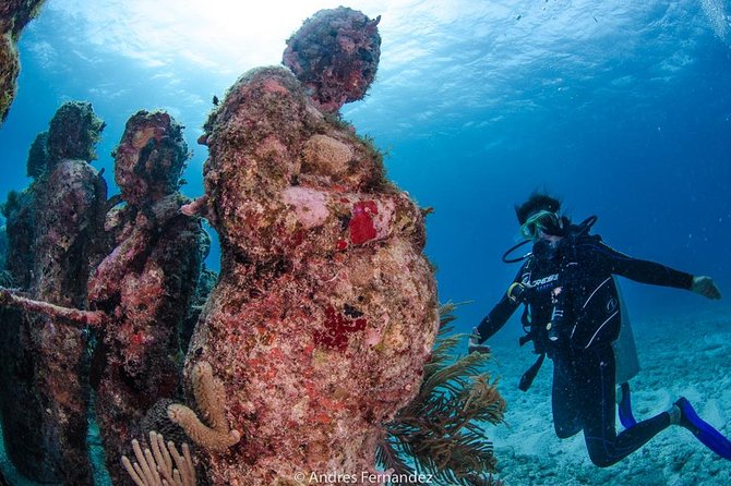 Discover scuba ,MUSA and Manchones reef dive without license - Why the small-group size makes a real difference