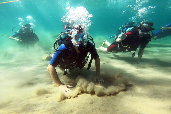 Discover Small Group Scuba Diving Experience in Nea Makri, Athens - Key things that make this experience worth your time