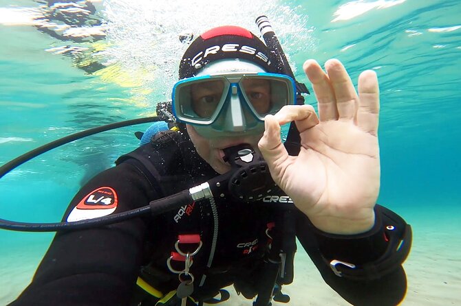 Discover Small Group Scuba Diving Experience in Nea Makri, Athens - Price and value: why $108.61 can make sense for a beginner course