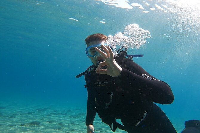 Discover Small Group Scuba Diving Experience in Nea Makri, Athens - Weather and day-of flexibility: the one variable you should plan for