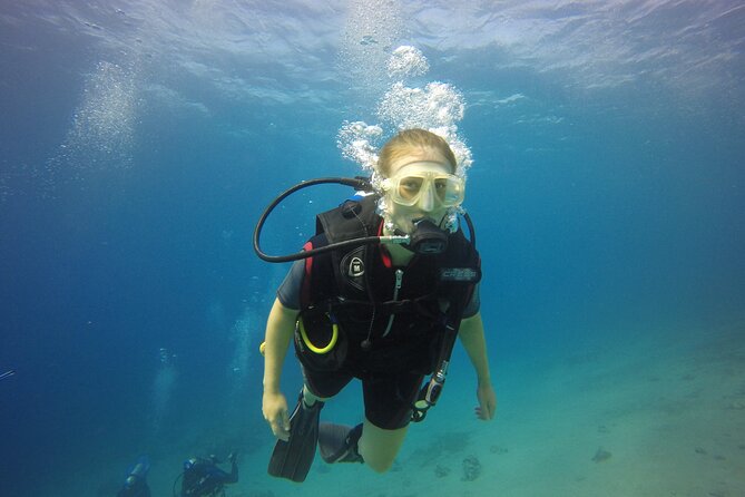 Discover the Depths: Aqaba's Ultimate private Dive Experience - Key things I’d plan around in Aqaba