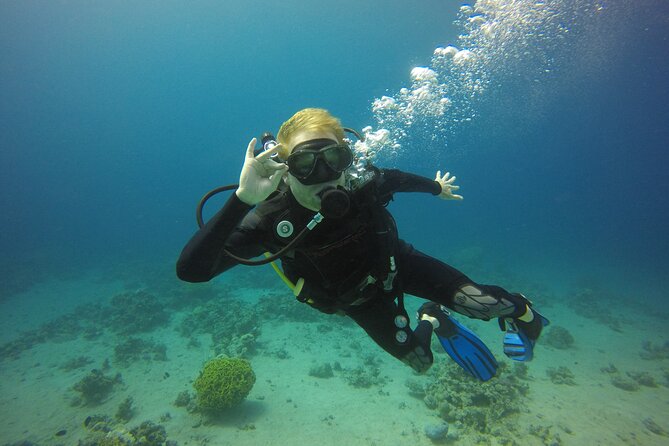 Discover the Depths: Aqaba's Ultimate private Dive Experience - Aqaba’s South Beach setup: why this feels like a smart first step