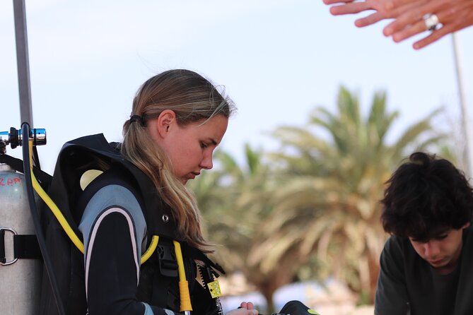 Discover the Depths: Aqaba's Ultimate private Dive Experience - The 2-hour flow: what you’ll do and what the timing really means